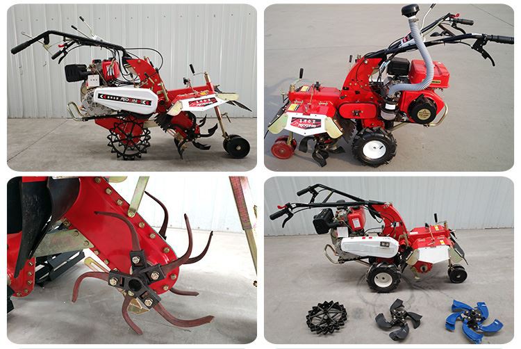 1 mini tiller 